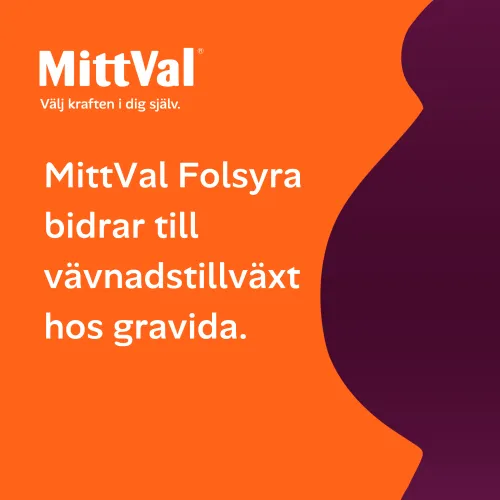 Folsyra