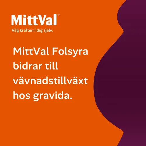 Folsyra
