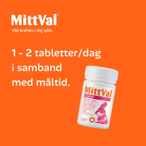 Gravid