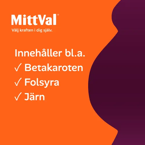 Gravid