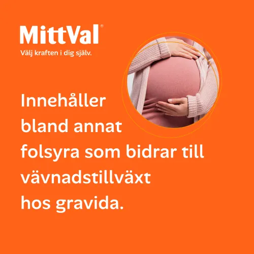 Gravid