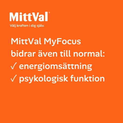 MyFocus