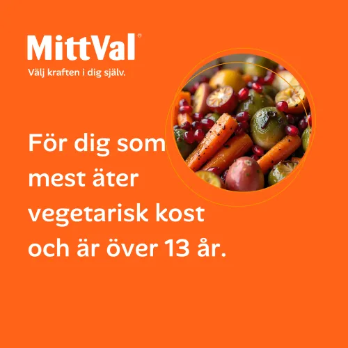 Vegetarian