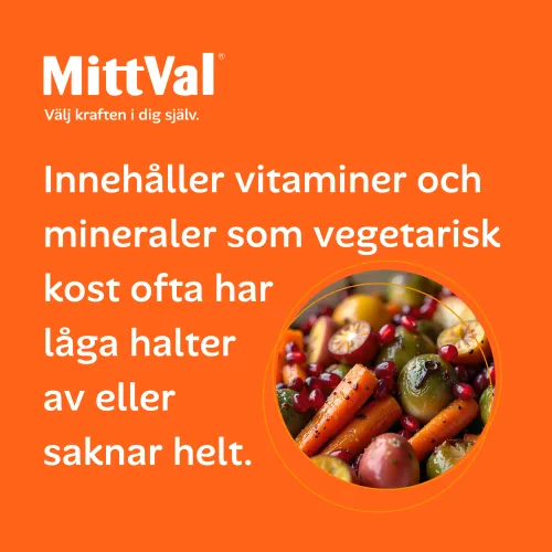 Vegetarian