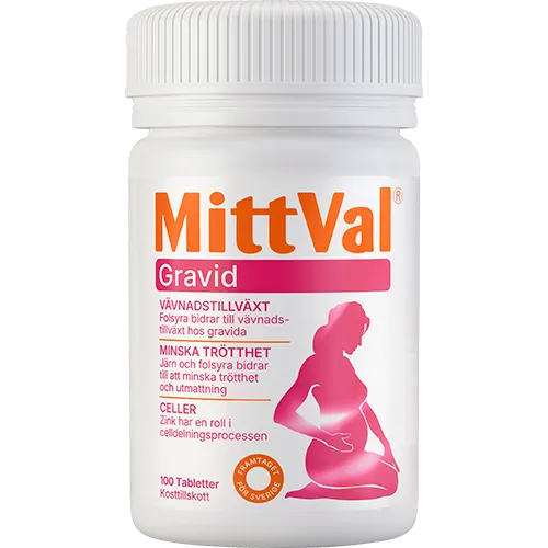 Gravid