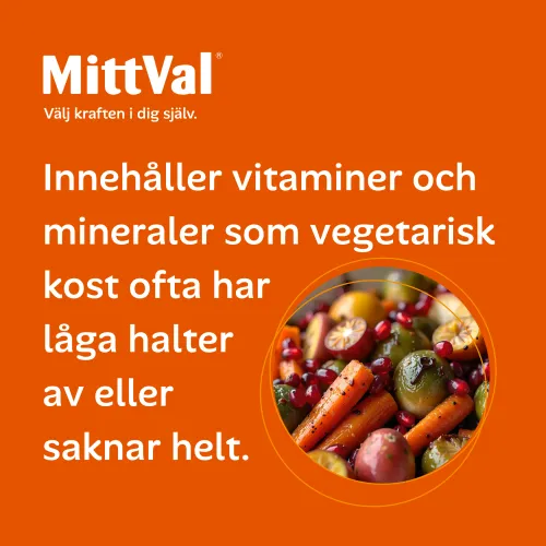 Vegetarian