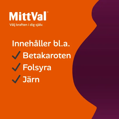 Gravid