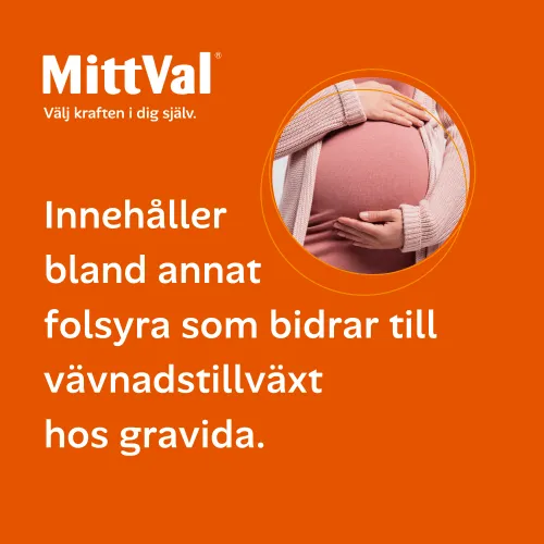 Gravid