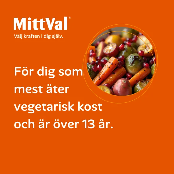 Vegetarian